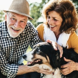 a couple and a dog